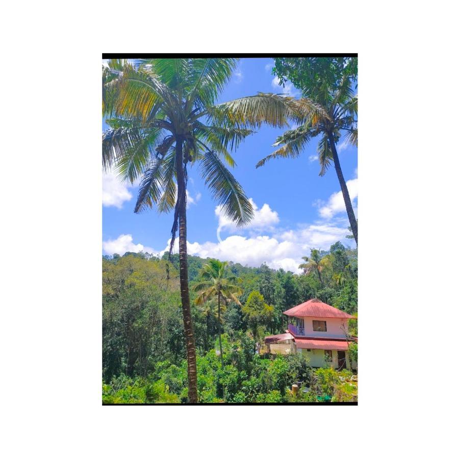 Athens Cottage Munnar Εξωτερικό φωτογραφία