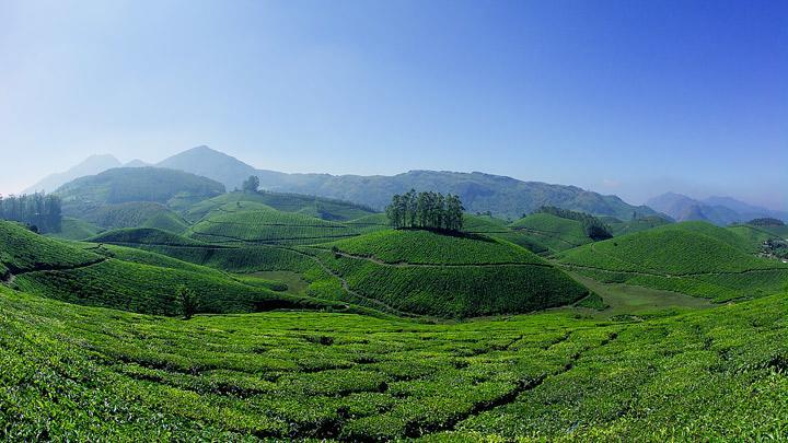 Athens Cottage Munnar Εξωτερικό φωτογραφία