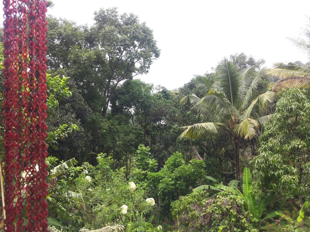 Athens Cottage Munnar Εξωτερικό φωτογραφία