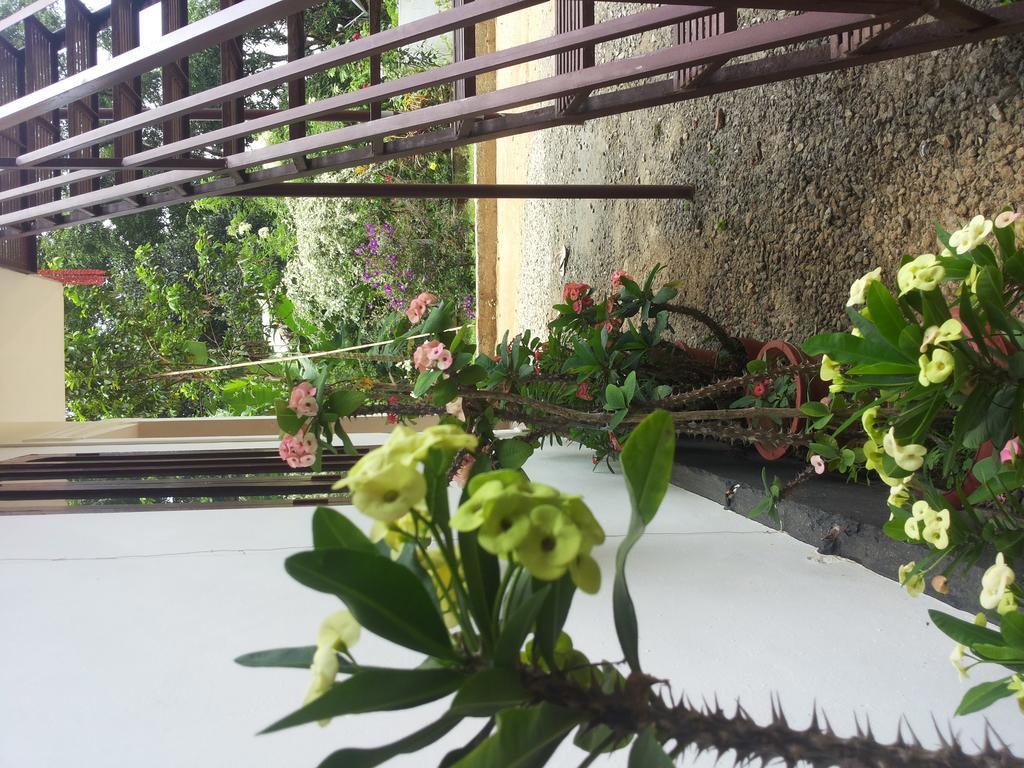Athens Cottage Munnar Εξωτερικό φωτογραφία