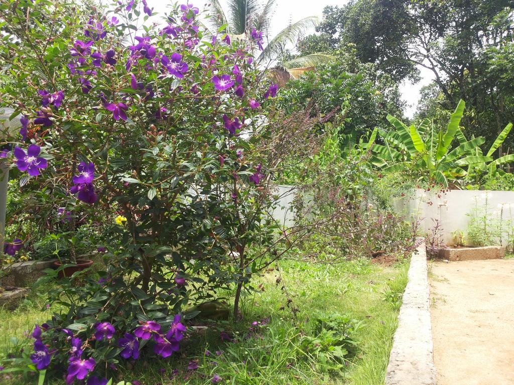 Athens Cottage Munnar Εξωτερικό φωτογραφία